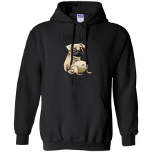 Load image into Gallery viewer, I Dont Give A Pug T-Shirt
